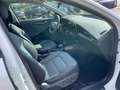 Kia Niro 1.6 Plug-in Hybrid Spirit *Glasdach* Alb - thumbnail 10