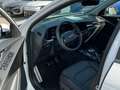 Kia Niro 1.6 Plug-in Hybrid Spirit *Glasdach* Weiß - thumbnail 9