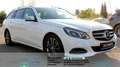 Mercedes-Benz E 200 E -Kl. T-Mod. E 200 CGI/Aut./Navi/PDC/LED/ Weiß - thumbnail 3