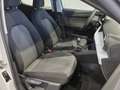 SEAT Ibiza Reference 1.0 TSI Weiß - thumbnail 13