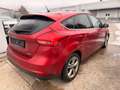 Ford Focus Lim. Titanium *Zahnriemen gerissen* Rot - thumbnail 4