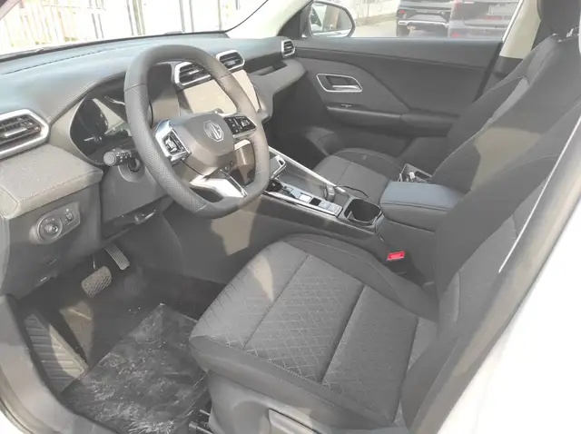 MG ZS view 8