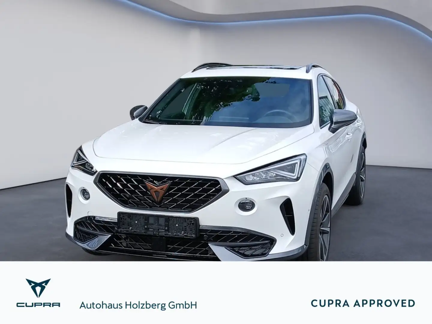 CUPRA Formentor 1.4 e-Hybrid DSG NAVI+PANO+AHK+RFK+LED Fehér - 1