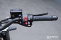 Benelli Leoncino E5 Rood - thumbnail 12