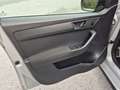 Skoda Fabia Monte Carlo 1,4 TDI Grau - thumbnail 12