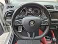 Skoda Fabia Monte Carlo 1,4 TDI Grau - thumbnail 15