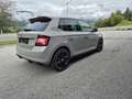 Skoda Fabia Monte Carlo 1,4 TDI Grau - thumbnail 5