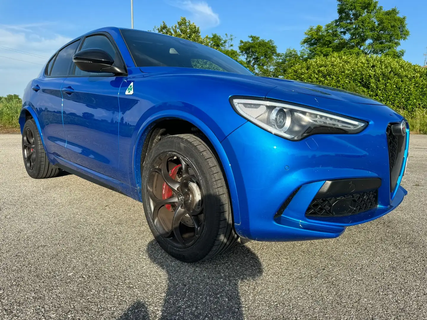 Alfa Romeo Quadrifoglio Blauw - 2