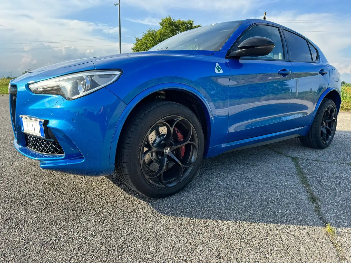 Alfa Romeo Quadrifoglio Blauw - 1