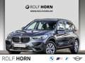 BMW X1 sDrive20i Advantage Pano PDC LED Navi Sitzhzg Gris - thumbnail 1