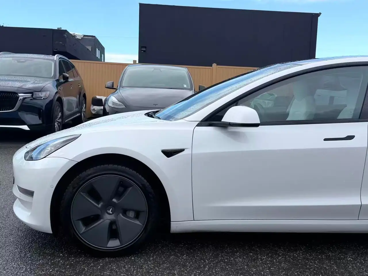 Tesla Model 3 снимка Tesla Model 3
