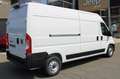 Fiat Ducato Maxi L3H2 140 MT 10Zoll Navi Kamera Klim... Weiß - thumbnail 7