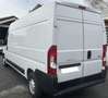 Peugeot Boxer Boxer 2.2 140cv L3H2 - passo lungo tetto alto Bianco - thumbnail 4