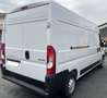 Peugeot Boxer Boxer 2.2 140cv L3H2 - passo lungo tetto alto Bianco - thumbnail 3