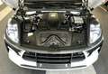 Porsche Macan GTS Grigio - thumbnail 24