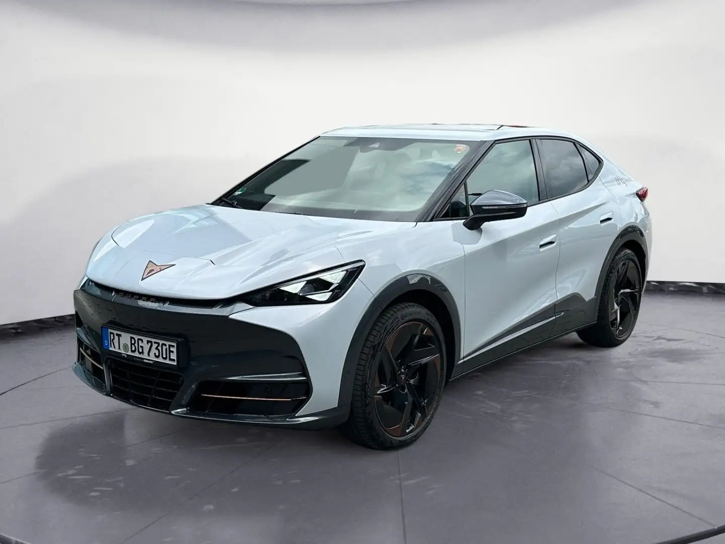 CUPRA Tavascan Endurance Silber - 1