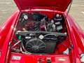 MG MGB OVERDRIVE Rojo - thumbnail 44