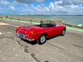 MG MGB OVERDRIVE Rojo - thumbnail 24