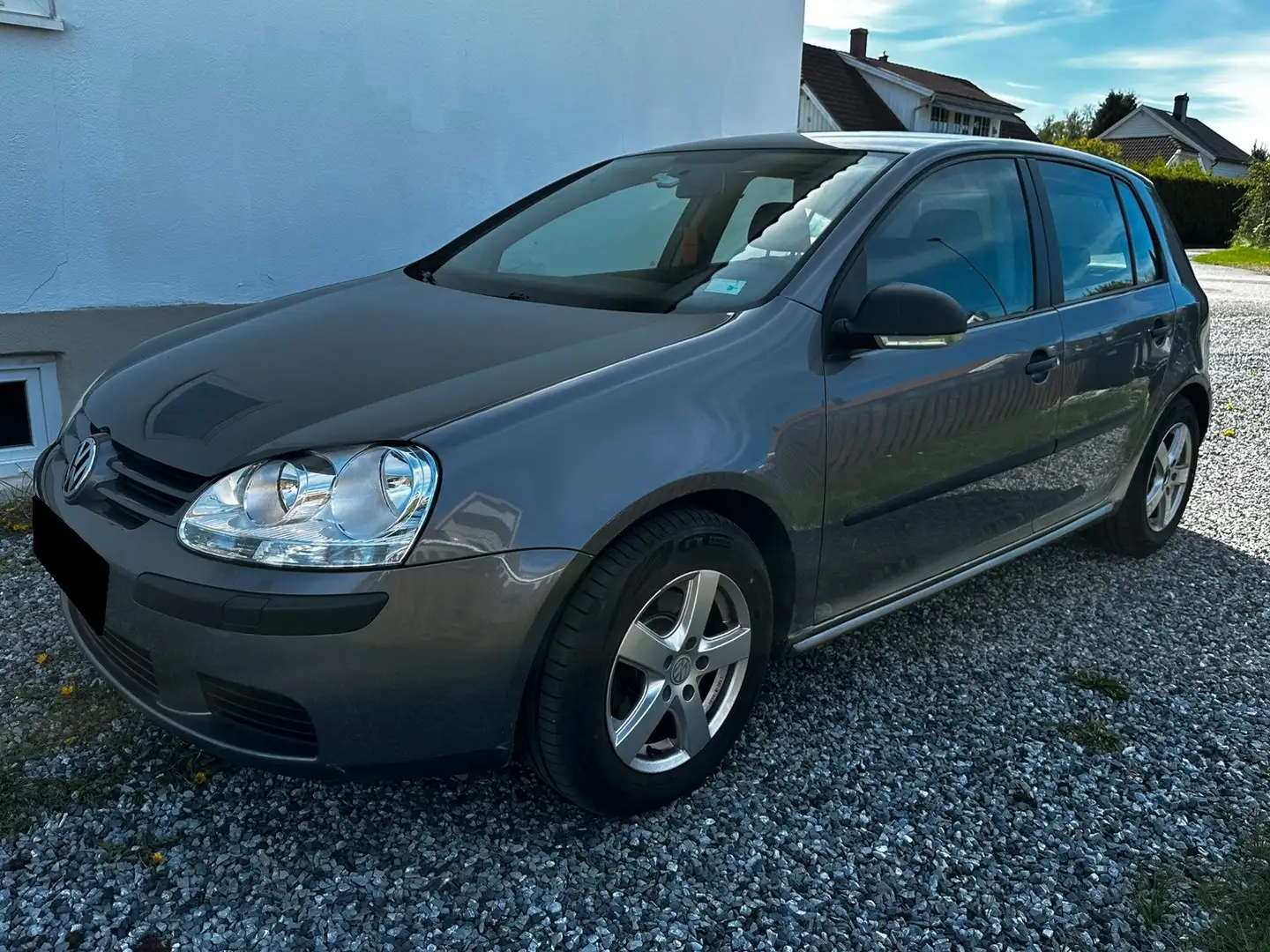 Volkswagen Golf Golf 5p 1.5d GL Grigio - 2