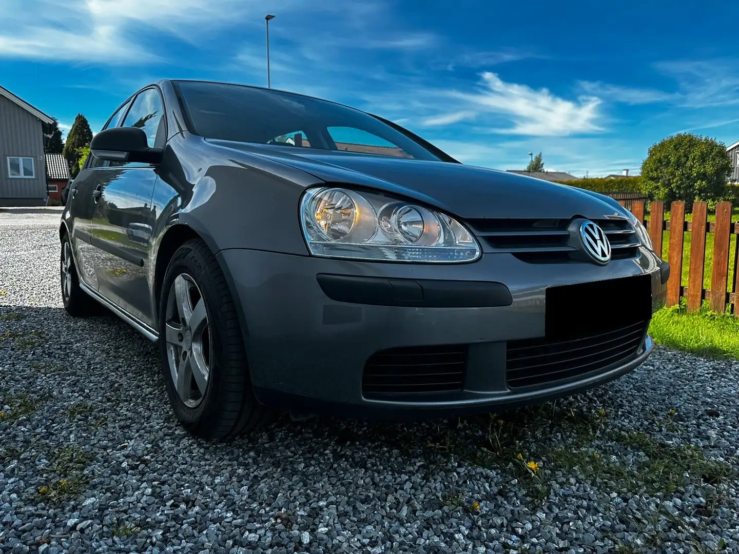 Volkswagen Golf Golf 5p 1.5d GL Grigio - 1