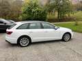 Audi A4 Avant 35 tdi mhev Business 163cv Virtual Cockpit Bianco - thumbnail 8