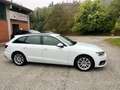 Audi A4 Avant 35 tdi mhev Business 163cv Virtual Cockpit Bianco - thumbnail 9