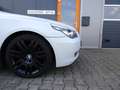 BMW 525 Touring Automaat uitzonderlijke uitvoering Wit - thumbnail 15