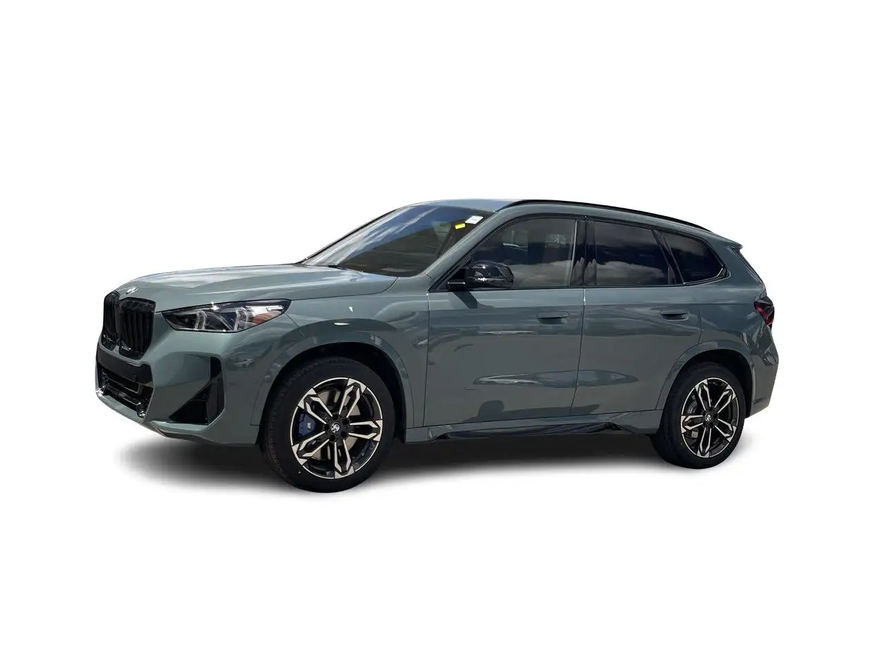 BMW X1 photo BMW X1