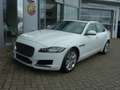 Jaguar XF Portfolio Blanc - thumbnail 1