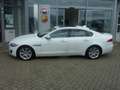 Jaguar XF Portfolio Blanc - thumbnail 3