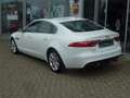 Jaguar XF Portfolio Blanc - thumbnail 4