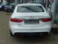 Jaguar XF Portfolio Blanc - thumbnail 5
