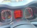 Fiat Panda 1.0 FireFly S&S Hybrid Grigio - thumbnail 7