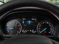 Ford EcoSport 1.0 EcoBoost ST-Line, Winterräder, Kamera, CarPlay Zilver - thumbnail 18