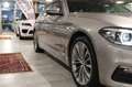 BMW 520 d xDrive TOURING LUXURY *SERVICE BMW*UNIPROP*TETTO Gris - thumbnail 20