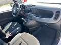 Fiat Panda Panda III 0.9 t.air t. natural power Lounge 70cv Wit - thumbnail 13