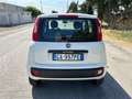 Fiat Panda Panda III 0.9 t.air t. natural power Lounge 70cv Wit - thumbnail 6