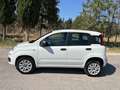 Fiat Panda Panda III 0.9 t.air t. natural power Lounge 70cv Wit - thumbnail 8