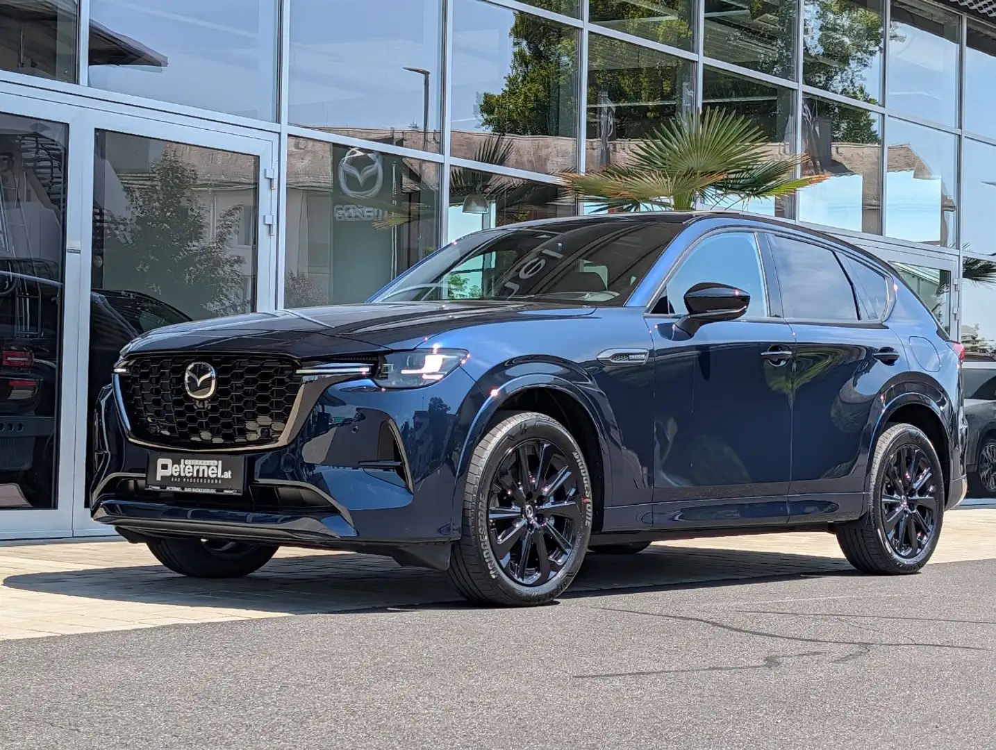 Mazda CX-60 3.3 D254 8AT AWD HOMURA PLUS Leder Blau - 2