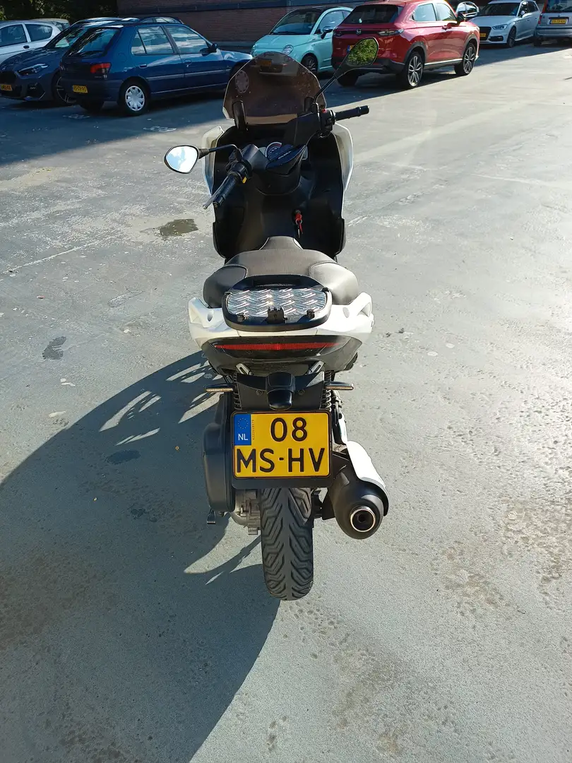 Gilera Nexus 300 Piaggio Weiß - 2