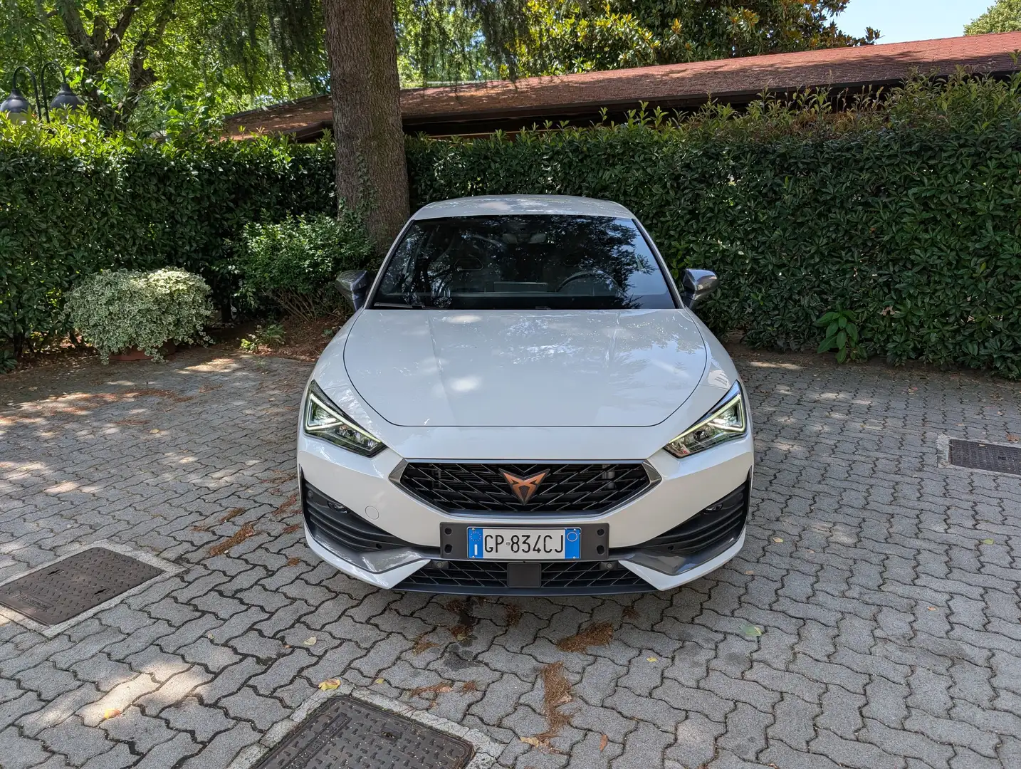 CUPRA Leon 2.0 tsi 190cv dsg Bílá - 2