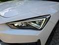 CUPRA Leon 2.0 tsi 190cv dsg Bílá - thumbnail 18