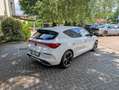 CUPRA Leon 2.0 tsi 190cv dsg Bílá - thumbnail 5