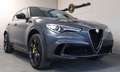 Alfa Romeo Stelvio Quadrifoglio Q4 1.Hand*Top Zustand Grau - thumbnail 30