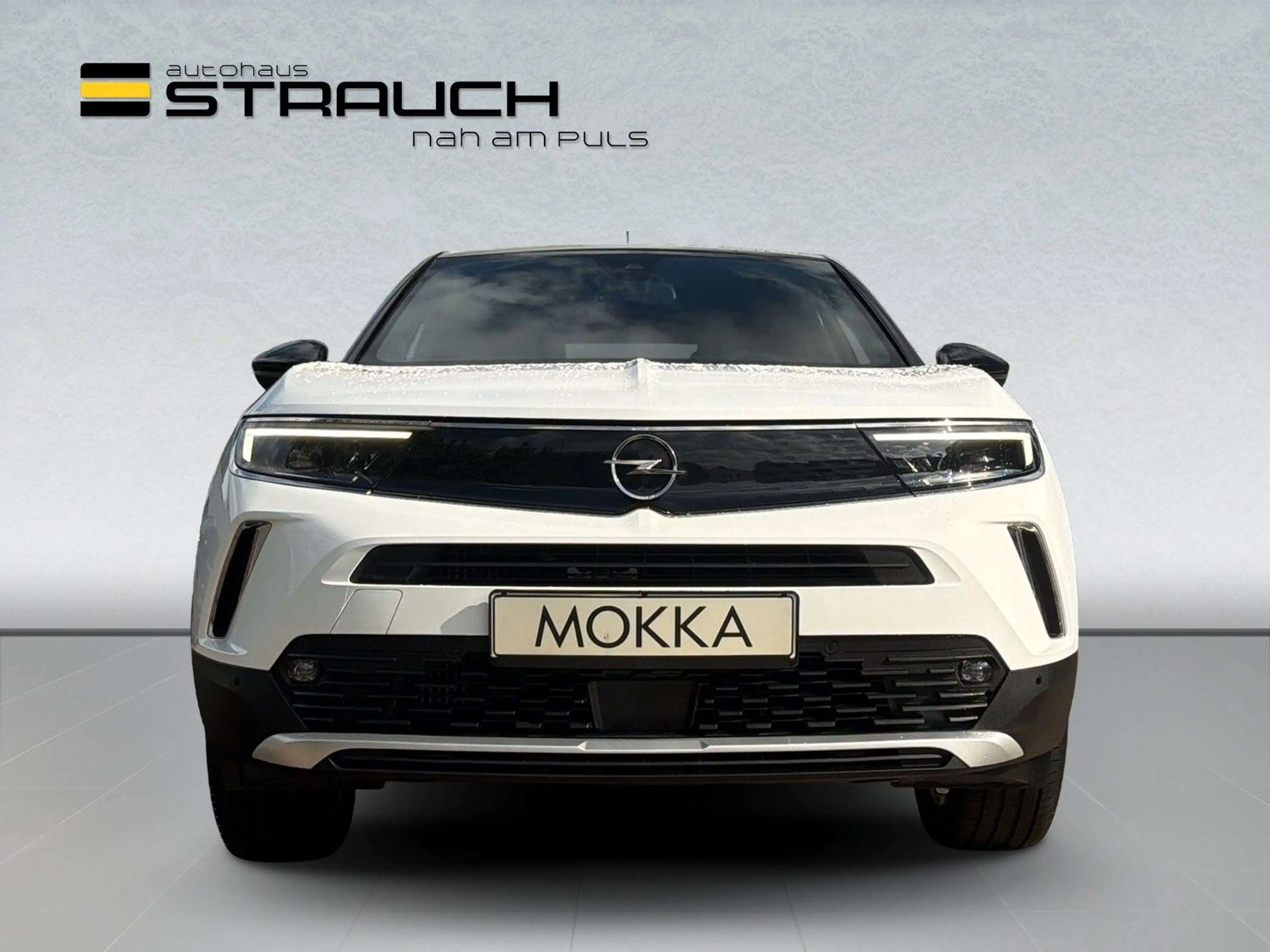Opel Mokka Ultimate NAVI/MATRIX/180°RFK/LHZ/SHZ/ALCAN — photo 2