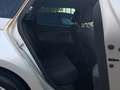 SEAT Leon ST 1.6 tdi Business 115cv dsg Argento - thumbnail 14