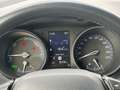 Toyota C-HR Berlina Automático de 5 Puertas Grau - thumbnail 14