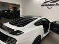 Ford Mustang MUSTANG 5.0 V8 #GT MIT BRACHIALEM AUFTRITT! Weiß - thumbnail 16