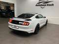 Ford Mustang MUSTANG 5.0 V8 #GT MIT BRACHIALEM AUFTRITT! Weiß - thumbnail 15