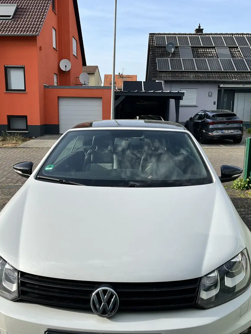 Volkswagen Eos 2.0 TDI DPF DSG BlueMotion Technology Exclusive - 2